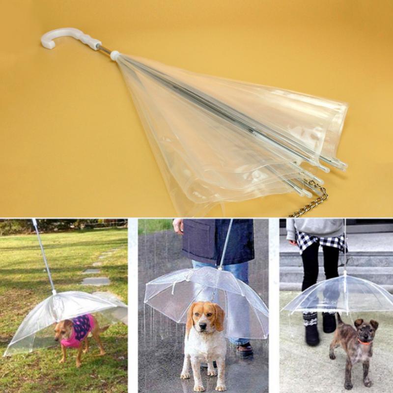 Transparent Pet Umbrella with Built-In Dog Leash by HitMyNeed