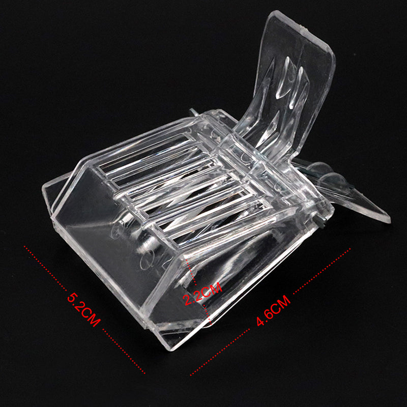 Transparent Queen Bee Clip Set (2 Pieces) by HitMyNeed