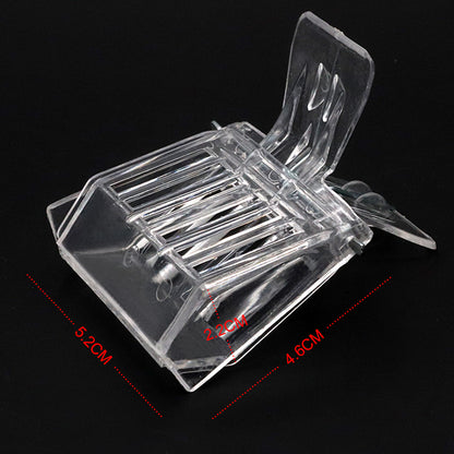 Transparent Queen Bee Clip Set (2 Pieces) by HitMyNeed