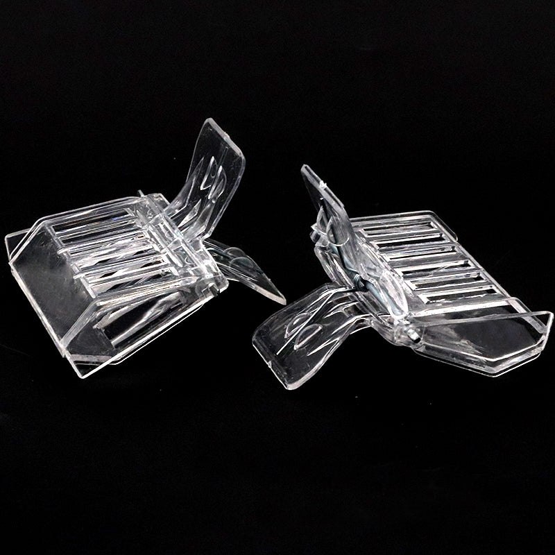 Transparent Queen Bee Clip Set (2 Pieces) by HitMyNeed