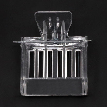 Transparent Queen Bee Clip Set (2 Pieces) by HitMyNeed