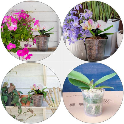 Transparent Resin Planting Cups Set of 10 by HitMyNeed