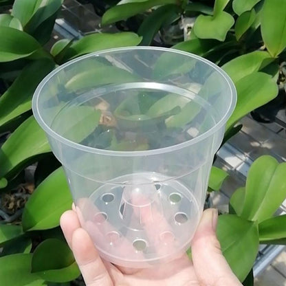 Transparent Resin Planting Cups Set of 10 by HitMyNeed