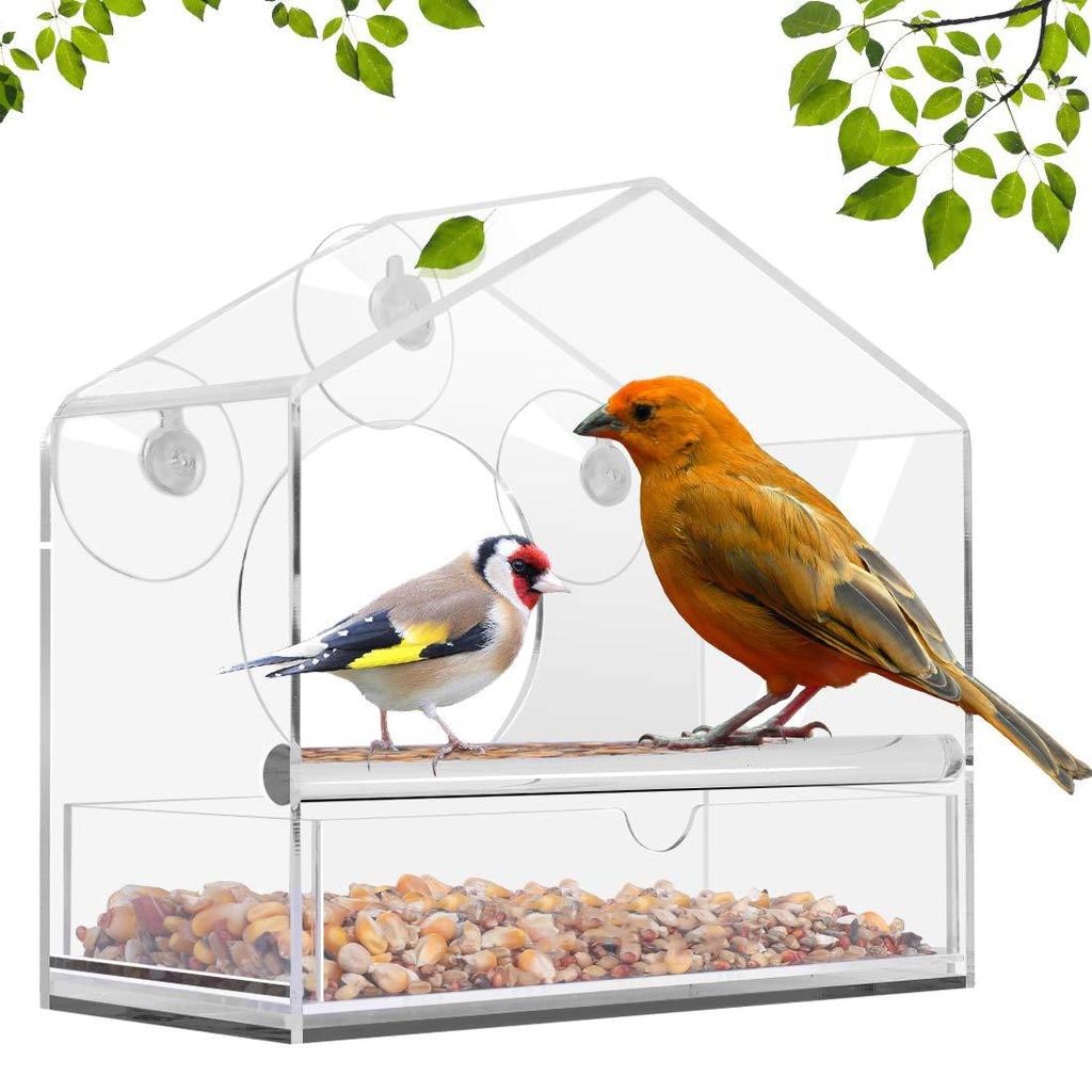 Transparent Window Bird Feeder with Suction Cups by HitMyNeed