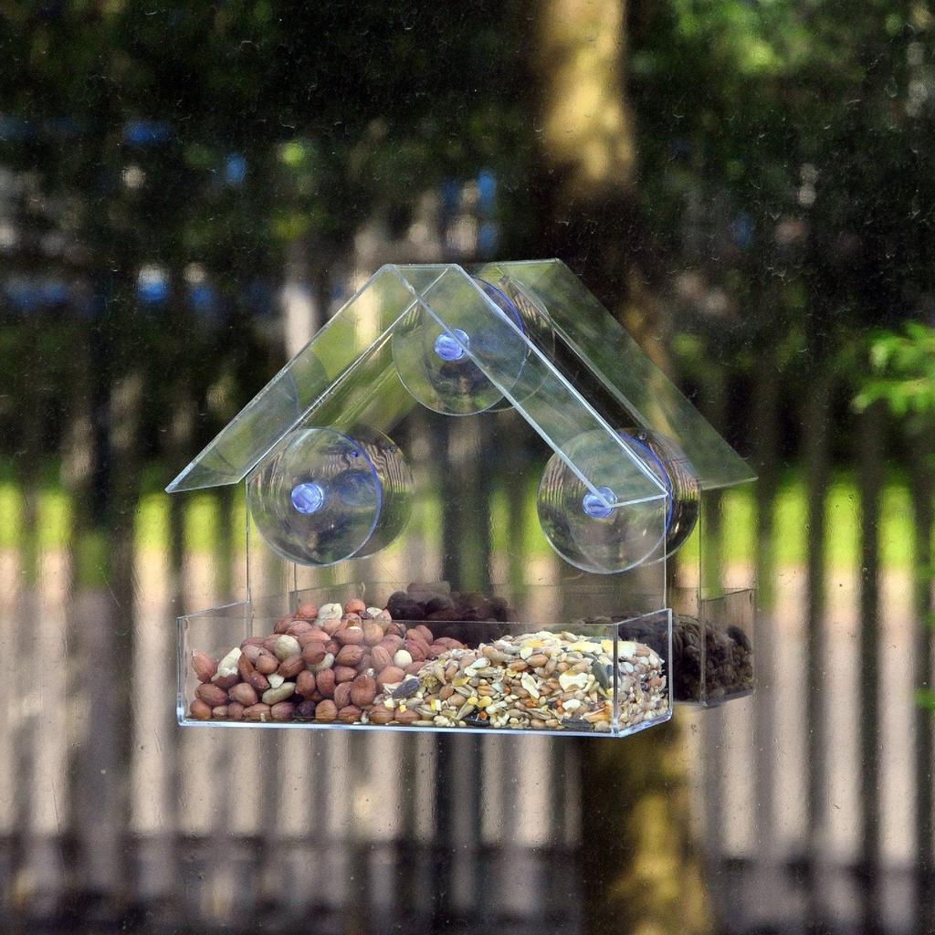 Transparent Window Bird Feeder with Suction Cups by HitMyNeed