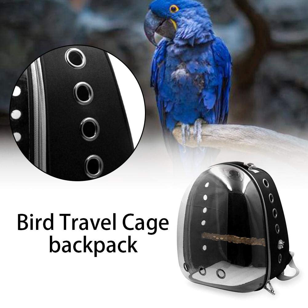 Travel Clear Parrot Backpack Carrier by HitMyNeed