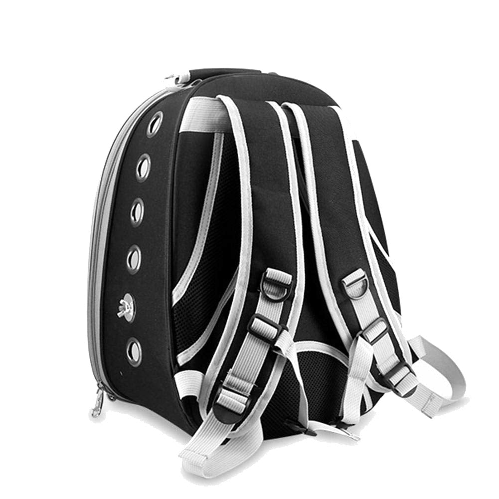 Travel Clear Parrot Backpack Carrier by HitMyNeed