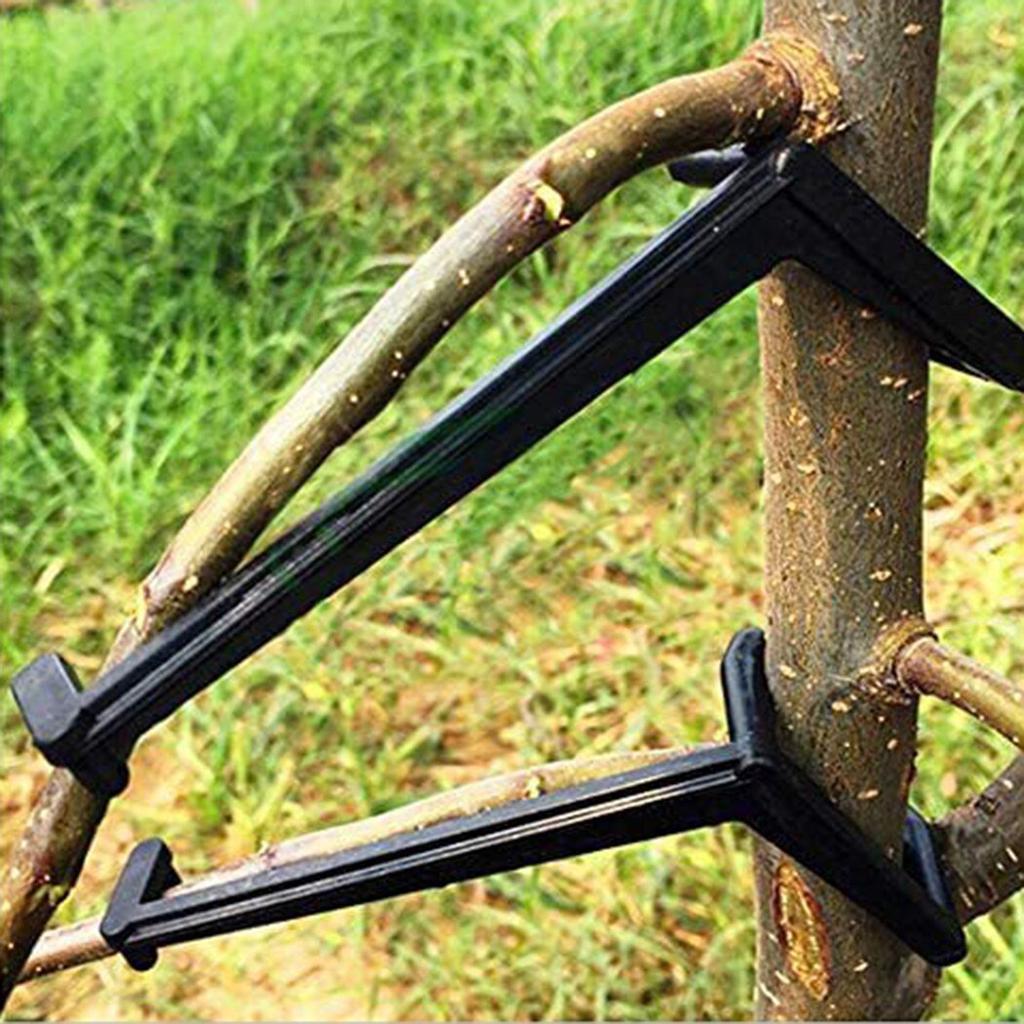 Tree Limb Spreaders for Young Branches (20 Pack) by HitMyNeed