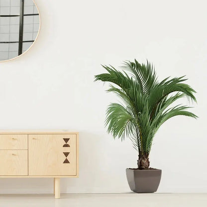 Tropical Green Leaf Self-Adhesive Wall Sticker by HitMyNeed