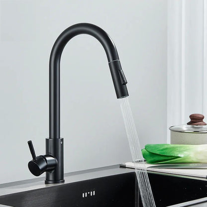 Two-Function Pull Out Kitchen Mixer Tap Single Handle by HitMyNeed