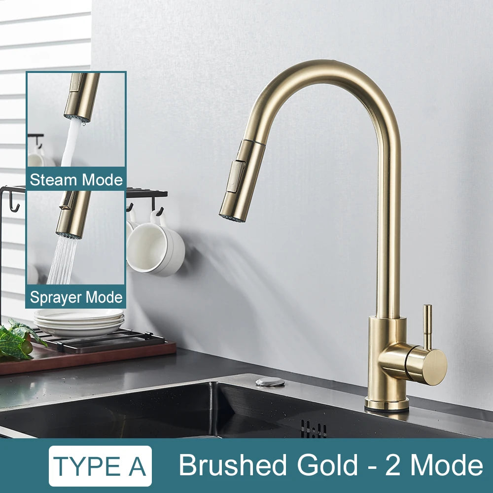 Two-Function Pull Out Kitchen Mixer Tap Single Handle brushed-gold by HitMyNeed