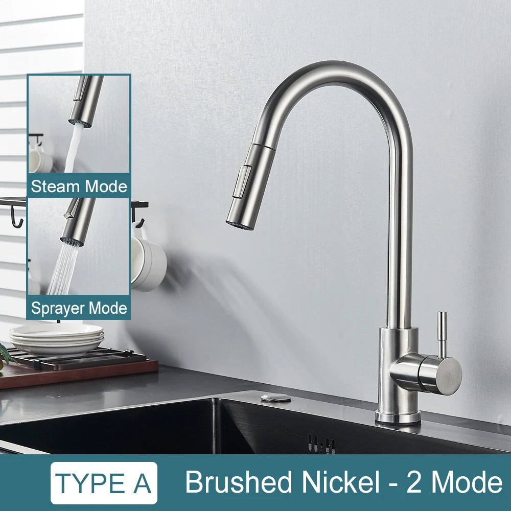 Two-Function Pull Out Kitchen Mixer Tap Single Handle brushed-nickel by HitMyNeed