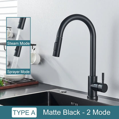 Two-Function Pull Out Kitchen Mixer Tap Single Handle matte-black by HitMyNeed