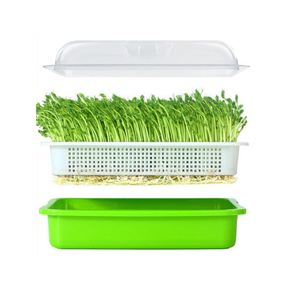 Two-Layer Seed Sprouter Tray with Lid by HitMyNeed