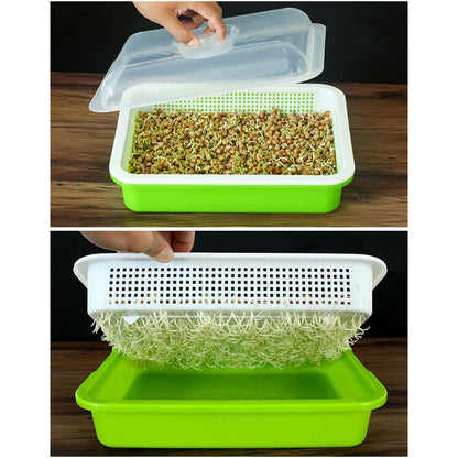 Two-Layer Seed Sprouter Tray with Lid by HitMyNeed