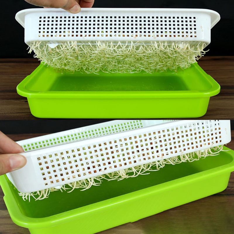 Two-Layer Seed Sprouter Tray with Lid by HitMyNeed