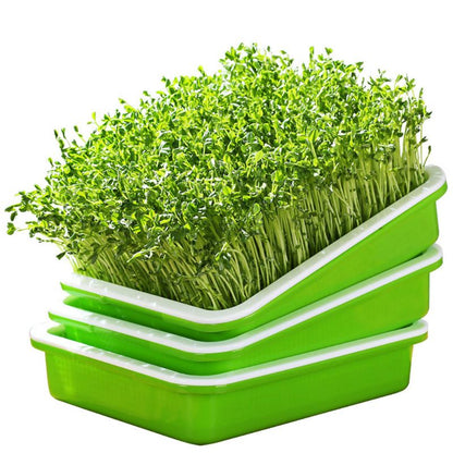 Two-Layer Seed Sprouter Tray with Lid by HitMyNeed