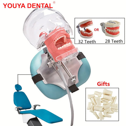 Typodont Dental Phantom Head Manikin for Training by HitMyNeed