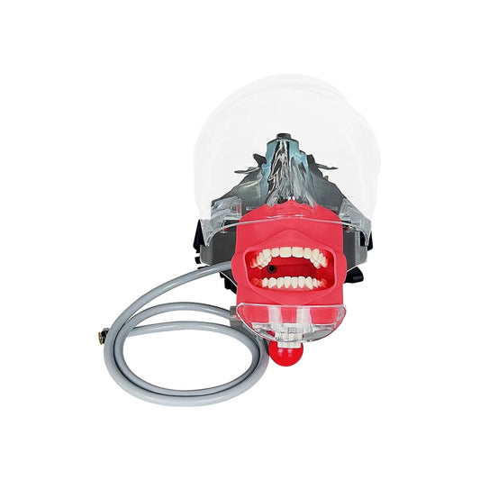 Typodont Dental Phantom Head Manikin for Training including-32-teeth by HitMyNeed