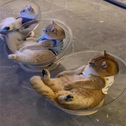 Universal Clear Capsule Cat Bed & Hammock Nest by HitMyNeed