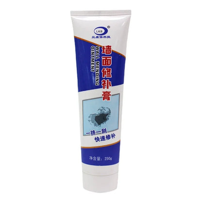 Universal Wall Repair Paste & Sealant 250g with Scraper by HitMyNeed