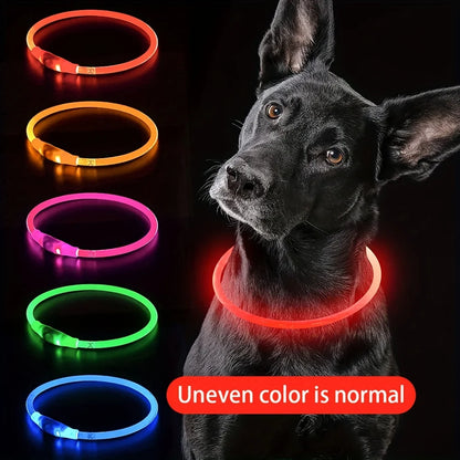 USB Rechargeable LED Dog Safety Collar Necklace by HitMyNeed