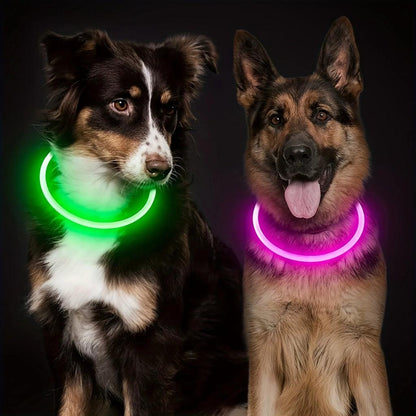 USB Rechargeable LED Dog Safety Collar Necklace by HitMyNeed