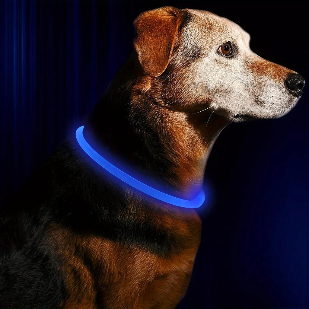 USB Rechargeable LED Dog Safety Collar Necklace blue by HitMyNeed