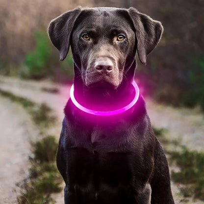 USB Rechargeable LED Dog Safety Collar Necklace pink by HitMyNeed