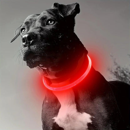 USB Rechargeable LED Dog Safety Collar Necklace red by HitMyNeed