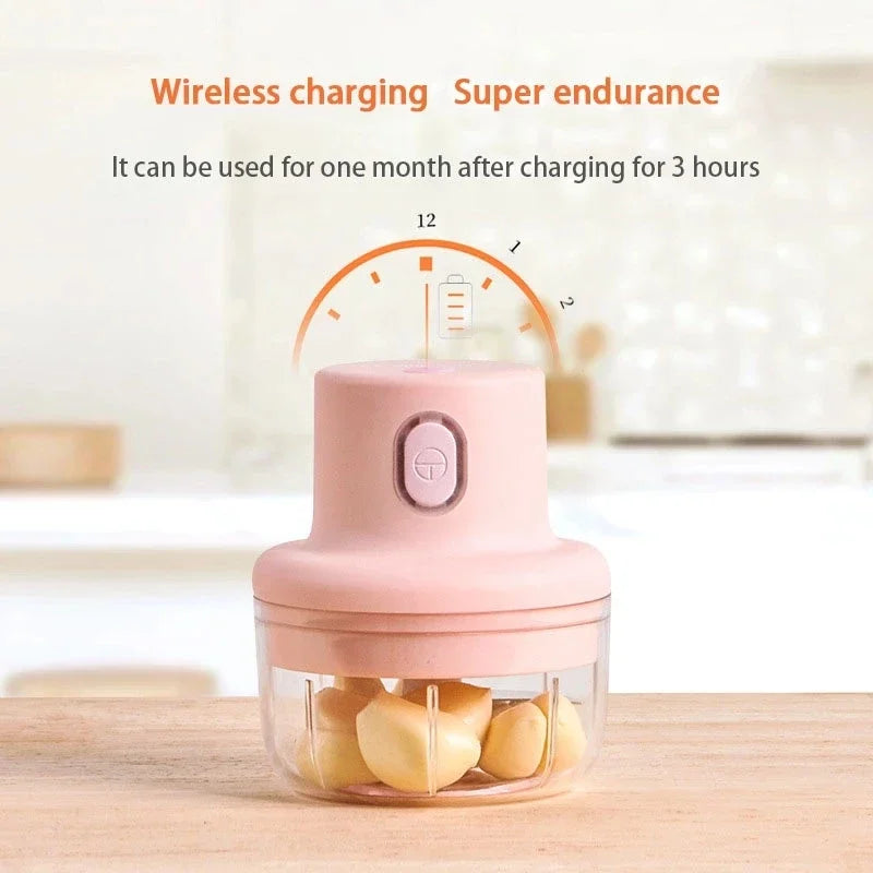 USB Rechargeable Mini Food Chopper 100ml / 250ml by HitMyNeed
