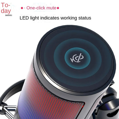 USB RGB Hypercardioid Microphone for PC & Mac by HitMyNeed