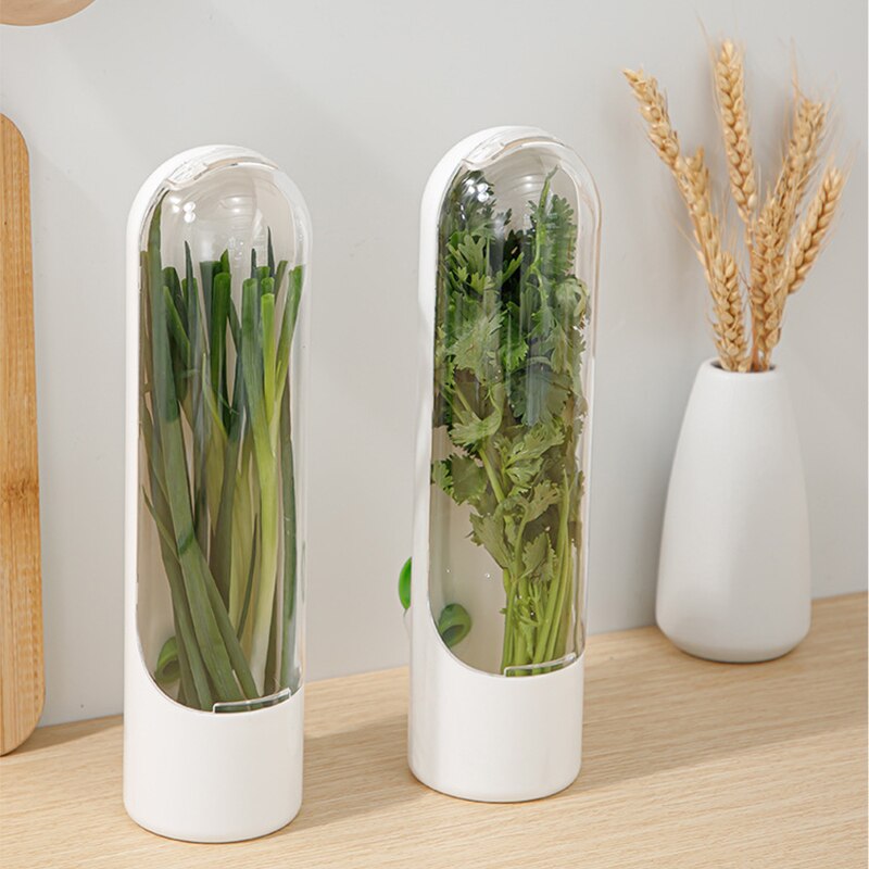Vegetable & Herb Preserving Storage Bottle by HitMyNeed