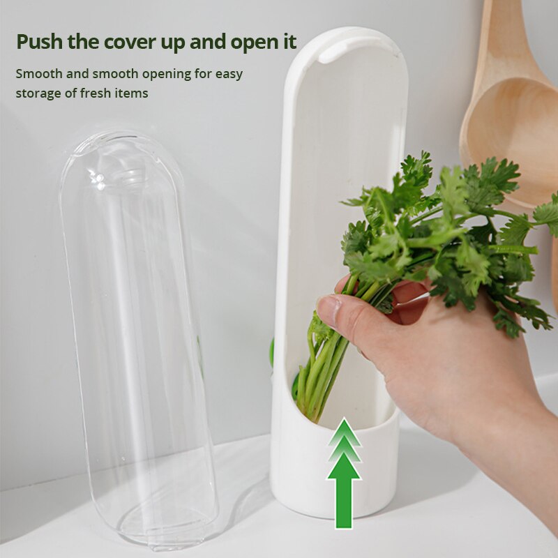 Vegetable & Herb Preserving Storage Bottle by HitMyNeed