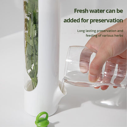 Vegetable & Herb Preserving Storage Bottle by HitMyNeed