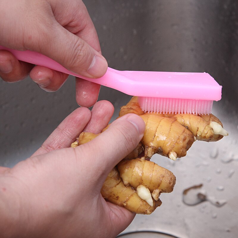 Vegetable Scrubber PVC Cleaning Brush with Handle by HitMyNeed