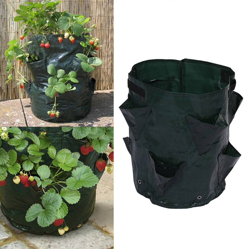 Vertical Planter Bag for Vegetables and Herbs by HitMyNeed