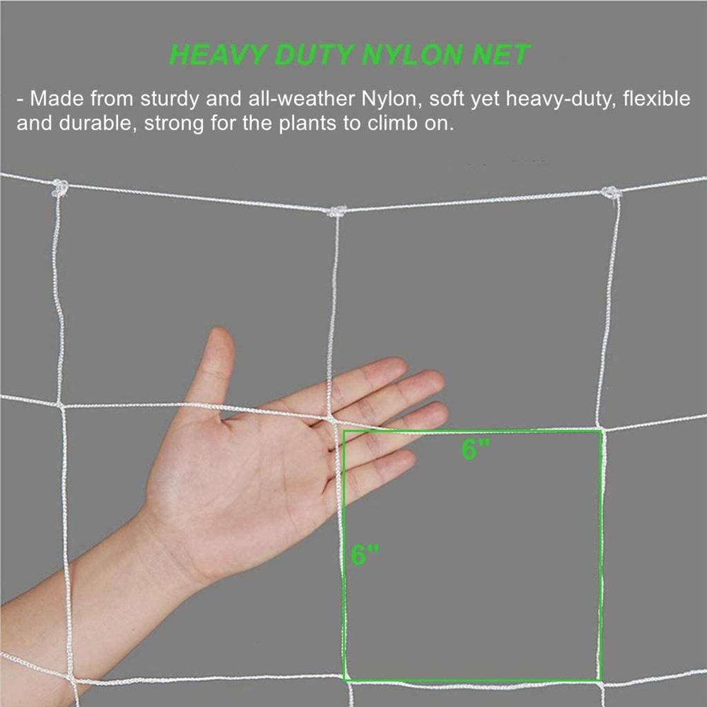 Vine Support Plastic Trellis Netting 5 x 30 ft by HitMyNeed