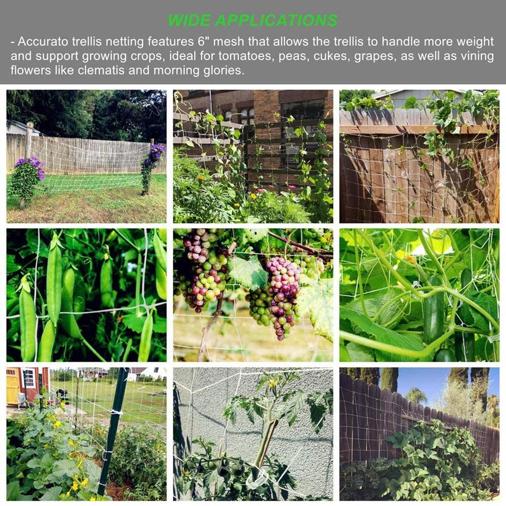Vine Support Plastic Trellis Netting 5 x 30 ft by HitMyNeed