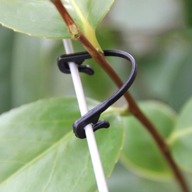 Vine Ties Plant Stem Supports (200 Pack, 6 cm) by HitMyNeed