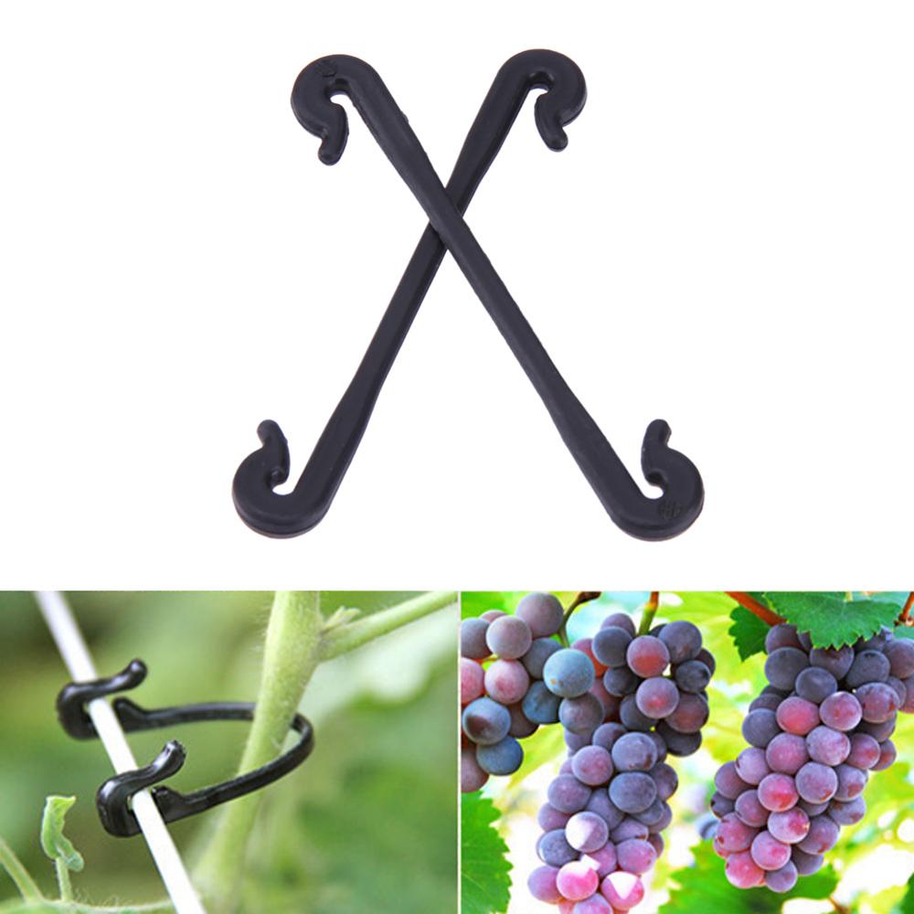 Vine Ties Plant Stem Supports (200 Pack, 6 cm) by HitMyNeed