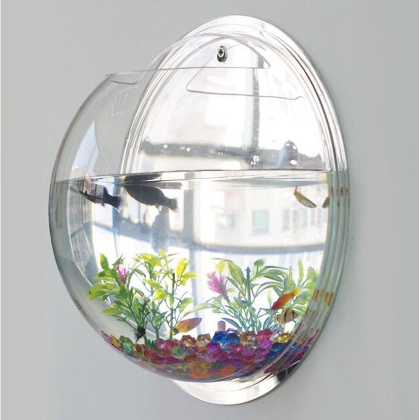 Wall Mounted Acrylic Fish Bowl Aquarium by HitMyNeed