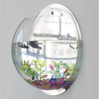 Wall Mounted Acrylic Fish Bowl Aquarium by HitMyNeed