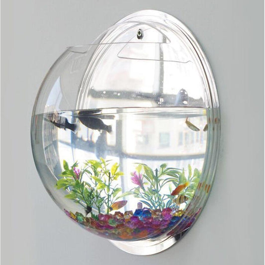 Wall Mounted Acrylic Fish Bowl Aquarium by HitMyNeed