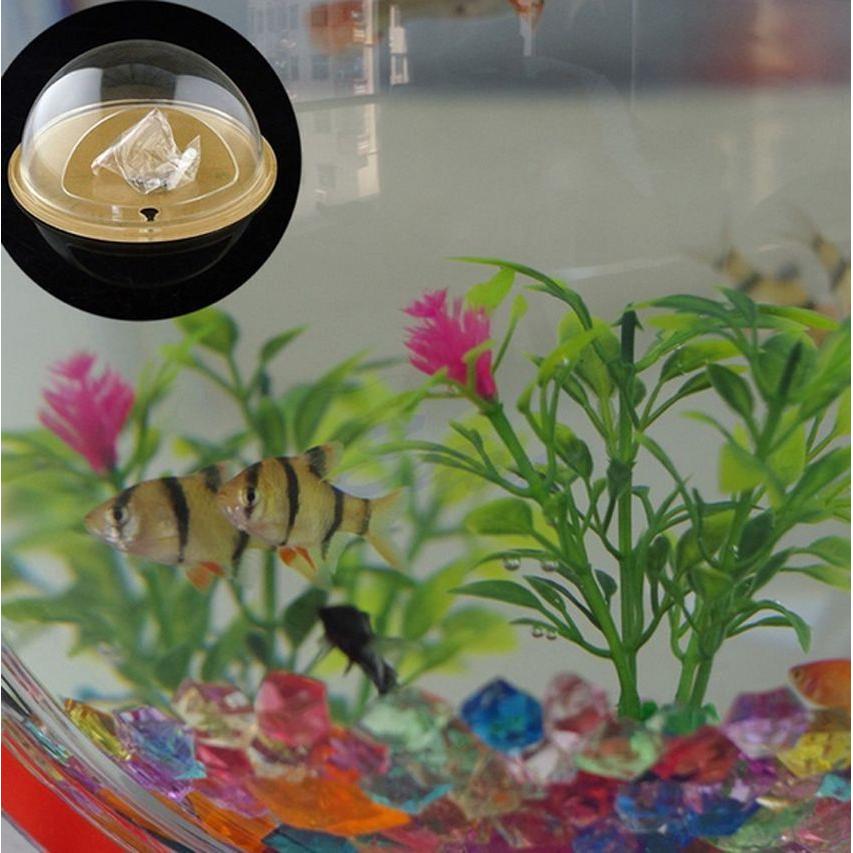 Wall Mounted Acrylic Fish Bowl Aquarium by HitMyNeed