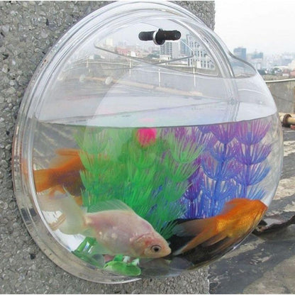 Wall Mounted Acrylic Fish Bowl Aquarium by HitMyNeed