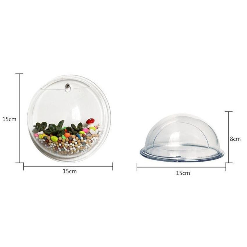 Wall Mounted Acrylic Fish Bowl Aquarium by HitMyNeed