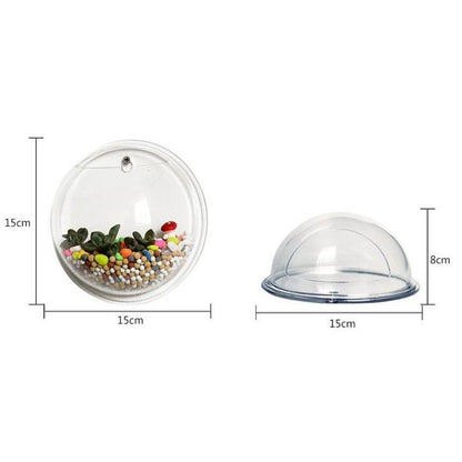 Wall Mounted Acrylic Fish Bowl Aquarium by HitMyNeed
