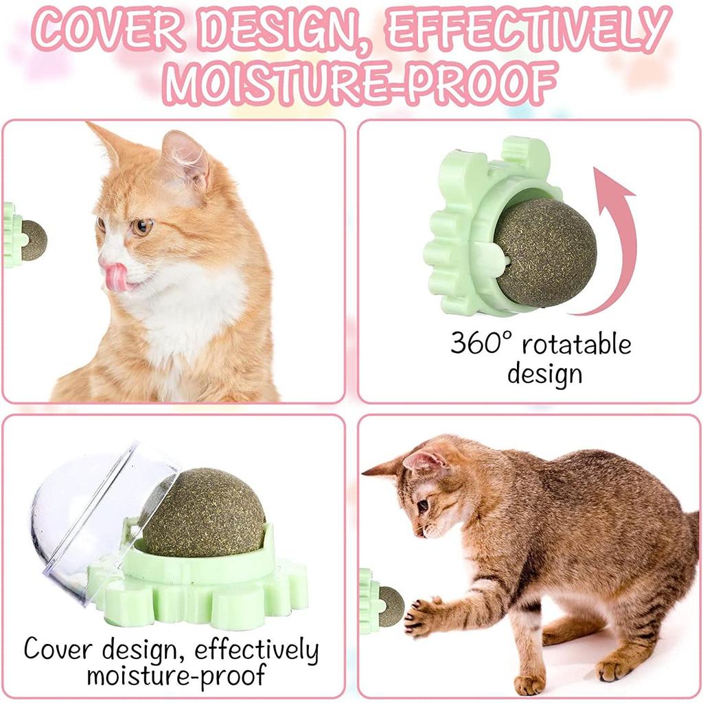 Wall Mounted Catnip Lick Ball Toy (2 Pack) by HitMyNeed