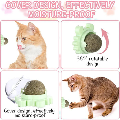 Wall Mounted Catnip Lick Ball Toy (2 Pack) by HitMyNeed